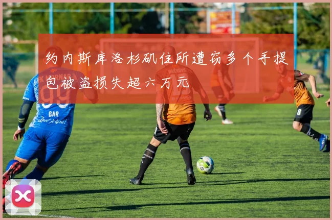 约内斯库洛杉矶住所遭窃多个手提包被盗损失超六万元