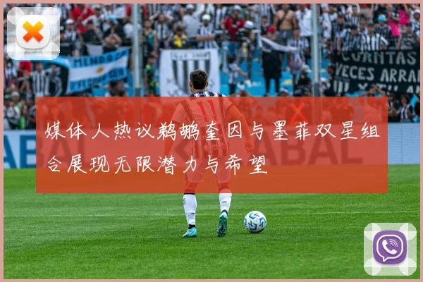 媒体人热议鹈鹕奎因与墨菲双星组合展现无限潜力与希望